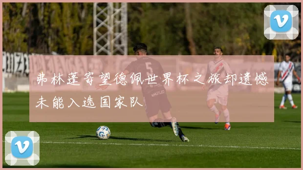 弗林蓬寄望德佩世界杯之旅却遗憾未能入选国家队